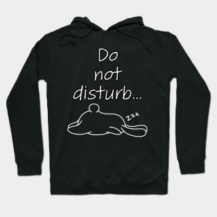 Do not disturb Hoodie